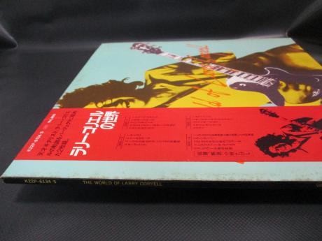 Larry Coryell World Of Japan Only PROMO 2LP OBI WHITE LABEL