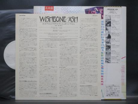 Wishbone Ash Hot Ash Japan Orig. PROMO LP OBI WHITE LABEL
