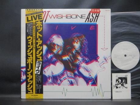 Wishbone Ash Hot Ash Japan Orig. PROMO LP OBI WHITE LABEL