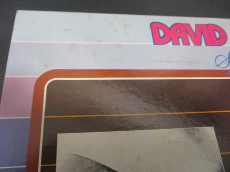 David Bowie Special Japan ONLY COMPILATION 2LP INSERT