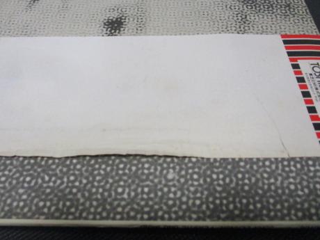 John Lennon Plastic Ono Band Japan Rare LP OBI