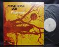 Wishbone Ash Pilgrimage Japan Orig. PROMO LP WHITE LABEL