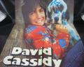 David Cassidy Dreams Are Nuthin’ More Than Wishes Japan LP OBI POSTER