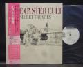 Blue Oyster Cult Secret Treaties Japan Orig. PROMO LP OBI