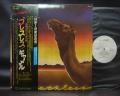 Camel Breathless Japan PROMO LP OBI WHITE LABEL