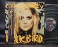 Blondie Debbie Harry Rockbird Japan Orig. LP OBI