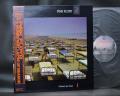 Pink Floyd A Momentary Lapse of Reason Japan Orig. LP OBI