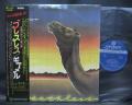 Camel Breathless Japan Orig. LP OBI INSERT