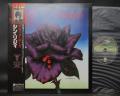 Thin Lizzy Black Rose a Rock Legend Japan Rare LP OBI