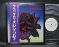 Thin Lizzy Black Rose Japan Orig. PROMO LP OBI WHITE LABEL