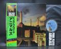 Pink Floyd Animals Japan Orig. LP OBI STICKER