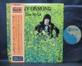 Donny Osmond A Time For Us Japan Orig. LP OBI INSERT