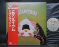 Byzantium S/T Same Title Japan “Rock Special Collection ED” LP OBI