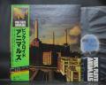 Pink Floyd Animals Japan Orig. LP OBI RARE STICKER