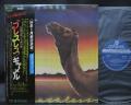 Camel Breathless Japan Orig. LP OBI