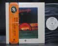 Cat Stevens Saturnight ( Live In Tokyo ) Japan ONLY LIVE PROMO LP OBI WHITE LABEL