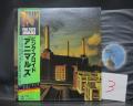 3. Pink Floyd Animals Japan Orig. LP OBI INSERT