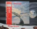 Deep Purple ‎Stormbringer Japan Orig. LP OBI RARE POSTER