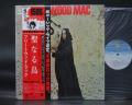Fleetwood Mac The Pious Bird of Good Omen Japan LTD LP RED OBI