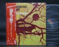 Wishbone Ash Pilgrimage Japan Rare LP RED OBI G/F