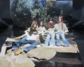 Angel On Earth It is in Heaven Japan Orig. LP RARE POSTER
