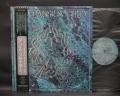 Danse Society ‎Heaven Is Waiting Japan Orig. LP OBI