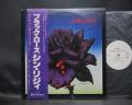 Thin Lizzy Black Rose Japan Orig. PROMO LP OBI WHITE LABEL