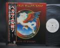Steve Miller Band Book Of Dreams Japan Orig. PROMO LP OBI WHITE LABEL