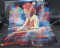Peter Frampton Wind Of Change Japan Tour ED LP OBI RARE POSTER