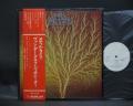 Van Der Graaf Generator Still Life Japan Orig. PROMO LP OBI WHITE LABEL