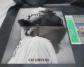 Cat Stevens Teaser and the Firecat Japan Orig. LP OBI RARE POSTER