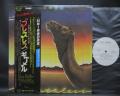 Camel Breathless Japan Orig. PROMO LP OBI WHITE LABEL