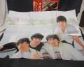 Beatles 1962 - 1966 Japan Early Press 2LP OBI RARE BIG POSTER