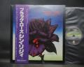 Thin Lizzy Black Rose Japan Orig. LP OBI INSERT